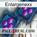 Enlargenexx 03